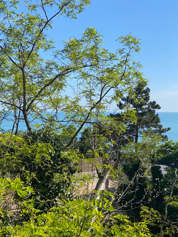 Апартамент с собственным пляжем