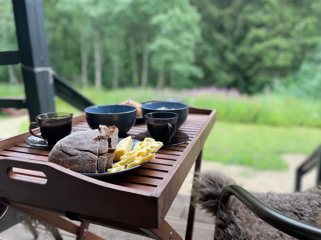 Барн с панорамными окнами с видом на дикий лес