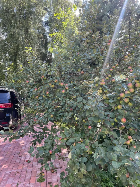 Уютный дом с баней и горячей купелью