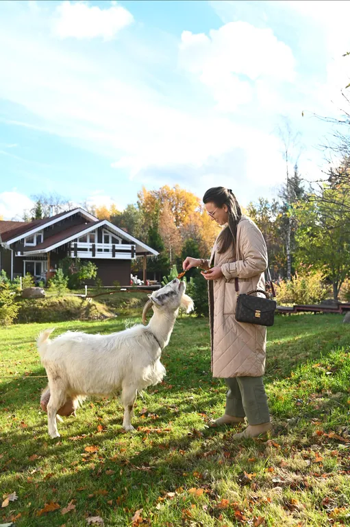 9-комнатный Дом