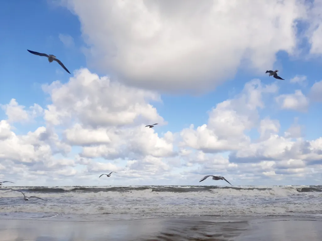 Квартира Квартира Vi&Va у моря — Светлогорск