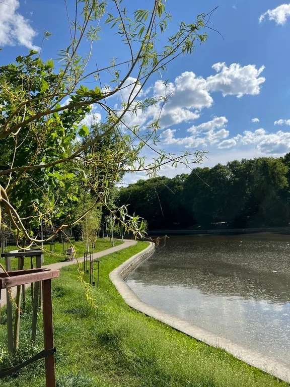 Квартира Чудесная квартира в центре Калининграда с видом на Верхнее озеро — Калининград