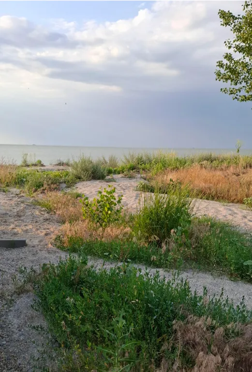 Уютный дом на берегу Азовского моря