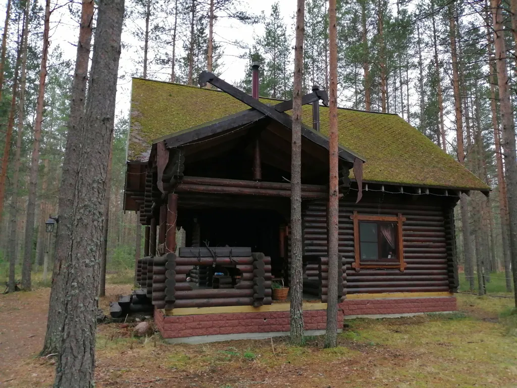 Дом Викинга