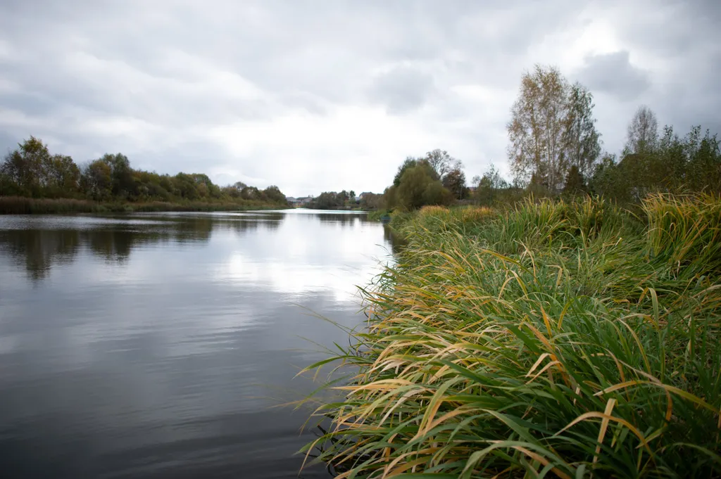 Дом с видом на реку
