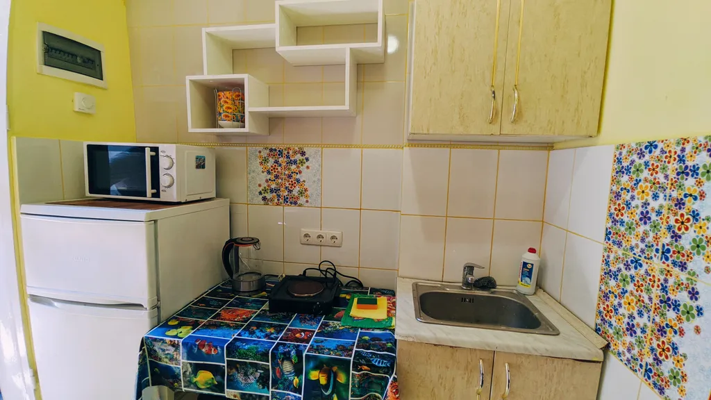 Уютная вместительная 3х комнатная квартира с бесплатной автостоянкой