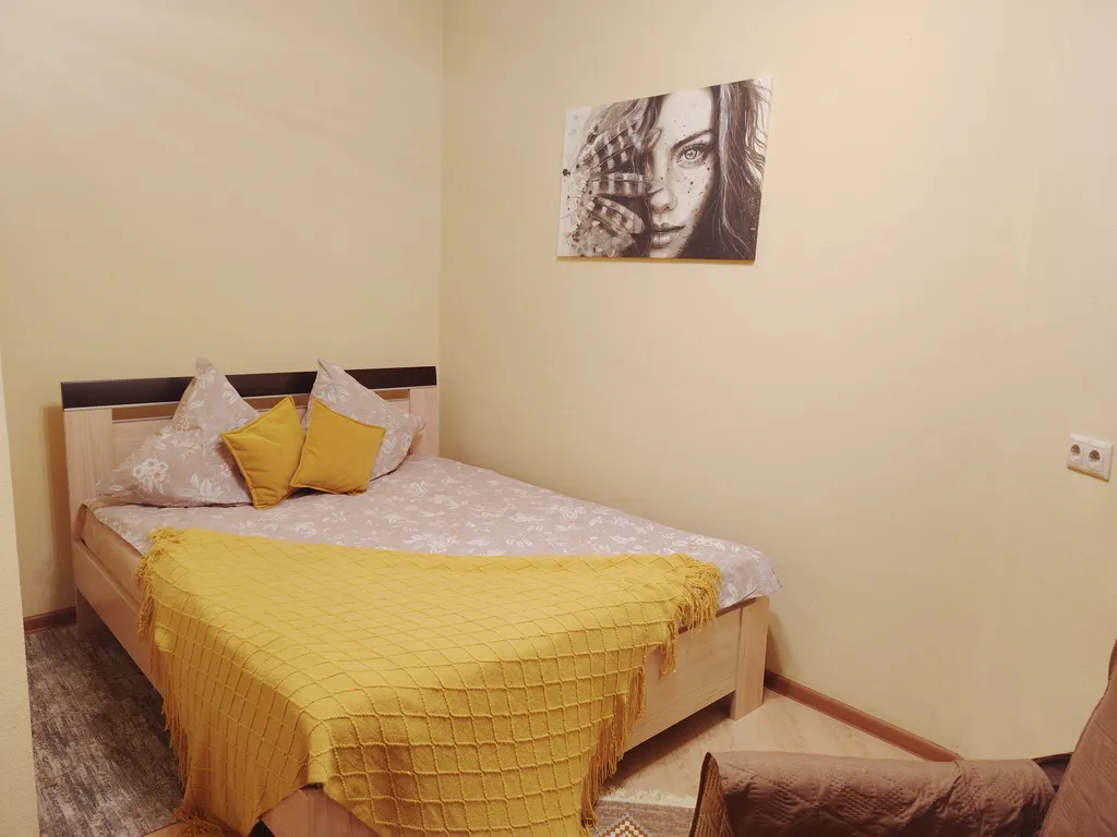 Однокомнатная квартира в Жуковском на Нижегородской