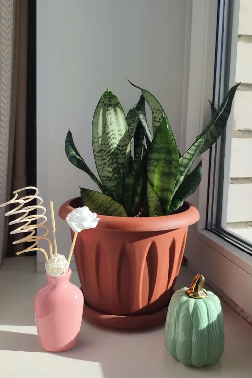 Уютная квартира от собственника рядом с достопримечательностями