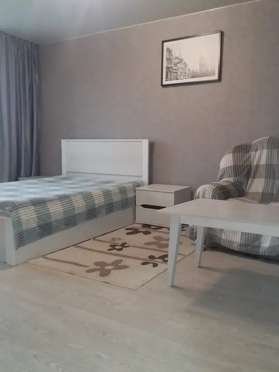 Уютная квартира — аренда посуточно в Барнаул