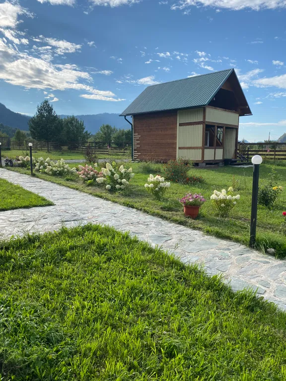 Дыхание гор