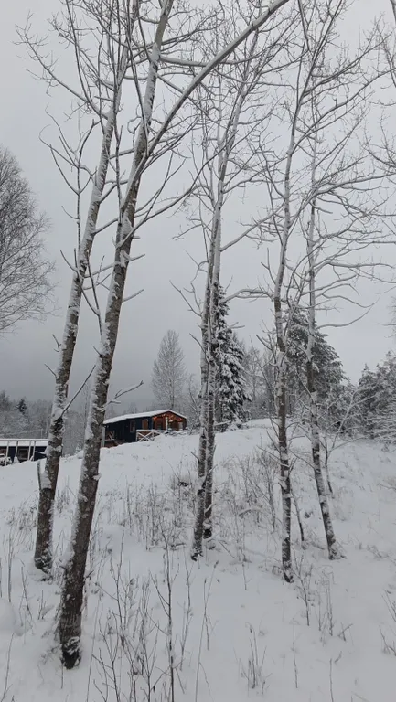 Гостевой дом Kielo