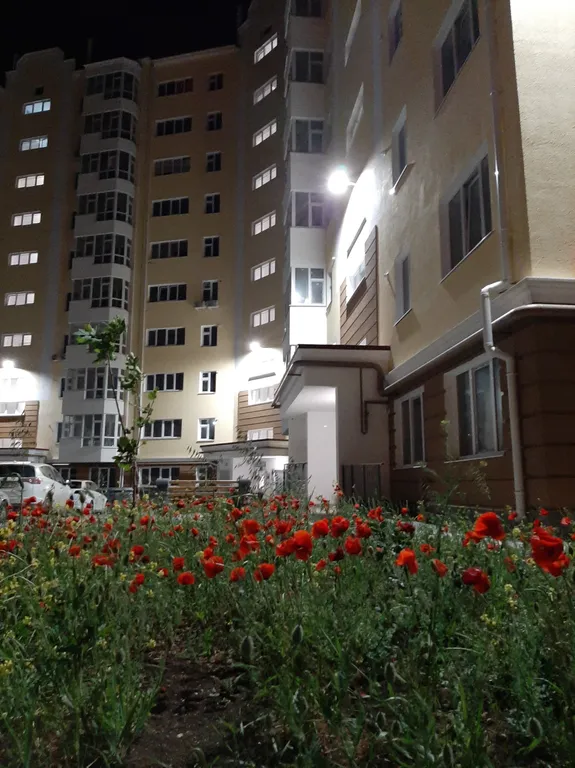 Квартира Комфортная квартира с видом на море — Севастополь