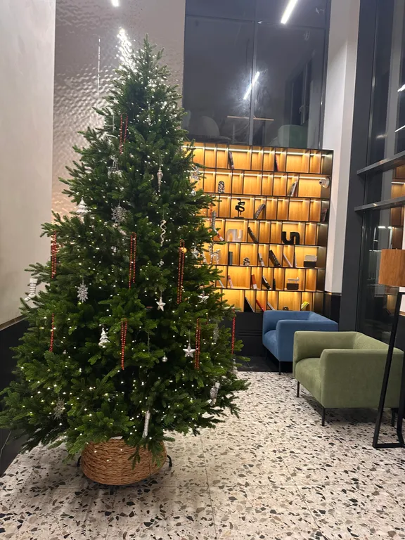 Студия на Новый Год в Курортном районе