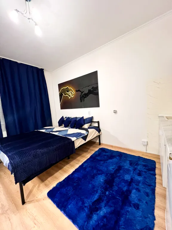 Уютная студия в Девяткино