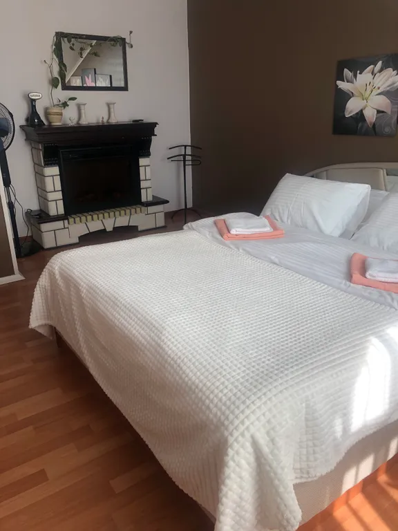 Квартира в финском доме в центре города