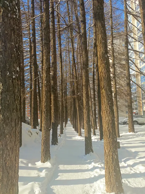 Квартира с большой ванной и панорамной лоджией