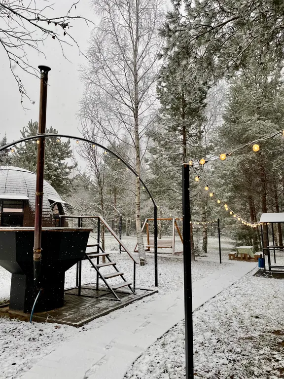 Уникальный купольный дом среди хвойного леса