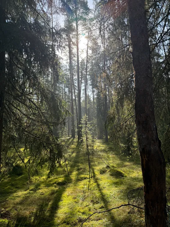 Терем "Русская былина"