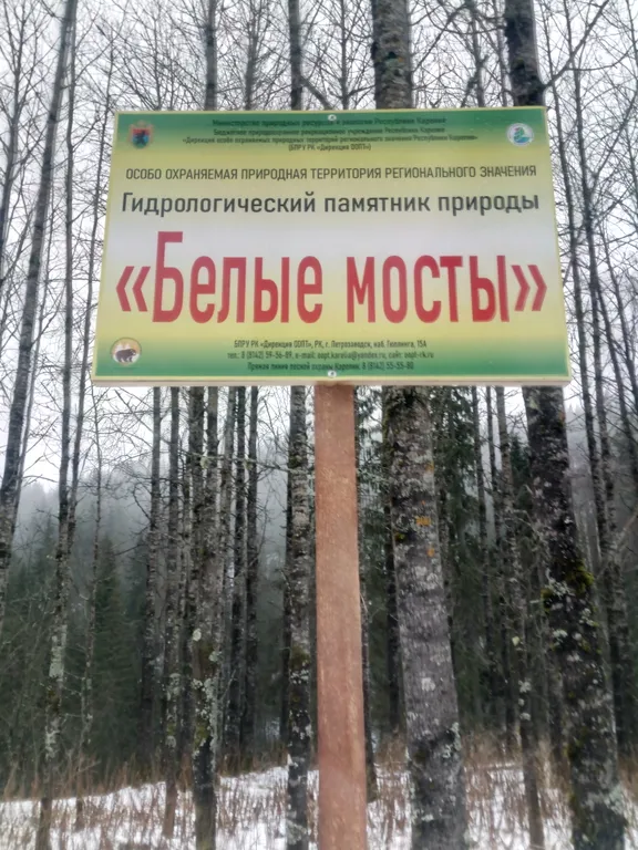 Коттедж Коттедж На берегу Ладожского озера — Хийденсельга