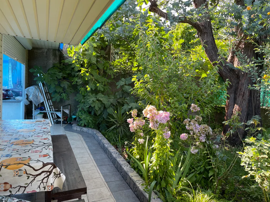 Уютный домик у красавца-эвкалипта