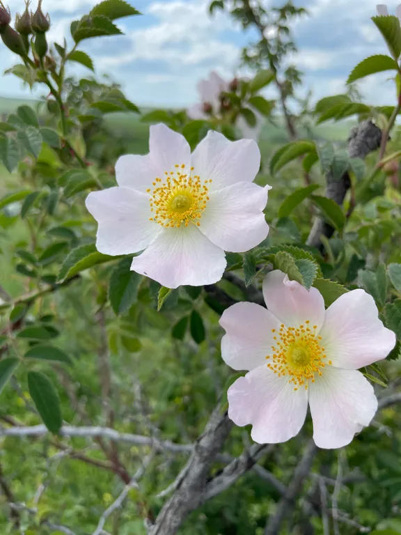 Апартаменты с видом на бассейн
