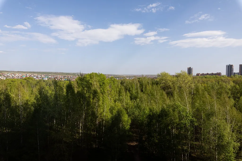 Квартира Квартира Уютный апартамент рядом с ТРК Мегга — Казань