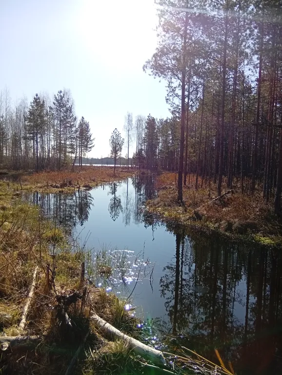 Карельский дом на берегу  озера.