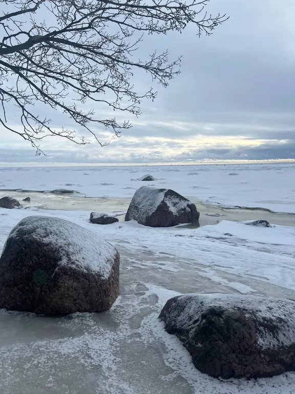 Уютные вечера у залива