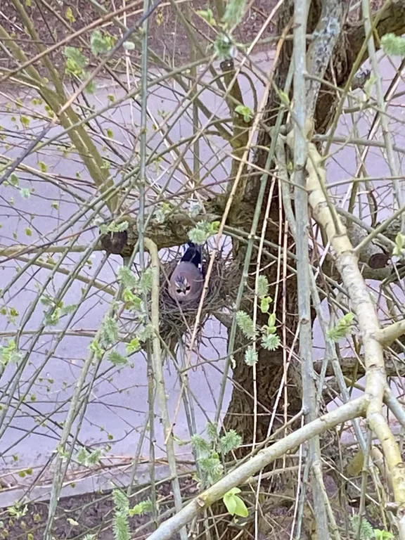 Квартира на берегу Балтийского моря 4-32