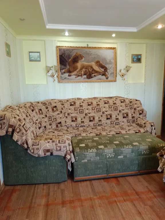 Комфортная просторная квартира