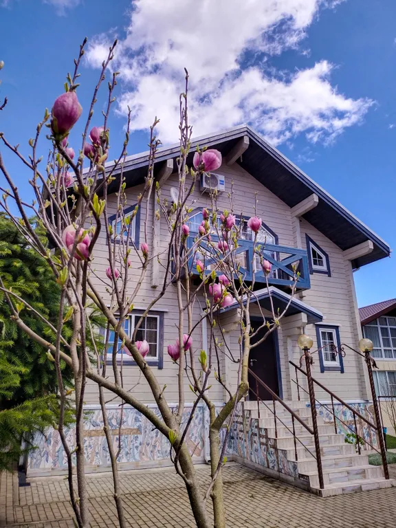 Шале с двумя апартаментами