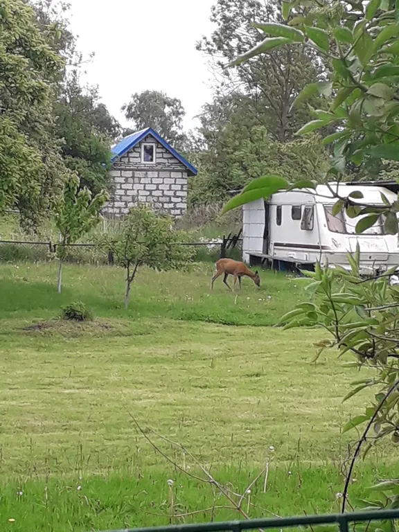 Коттедж Дом на Куршской косе — Рыбачий