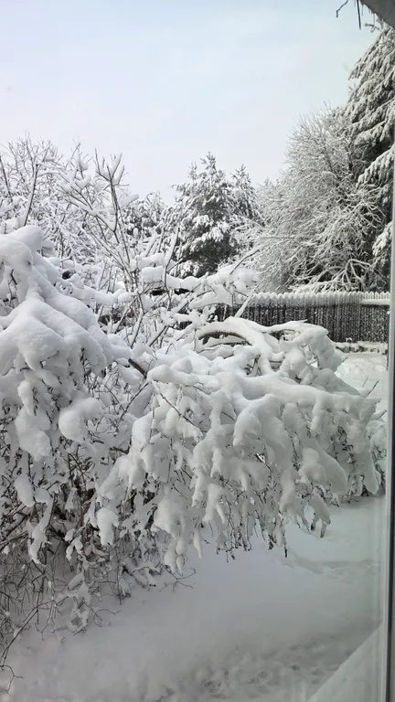 Деревенский дом