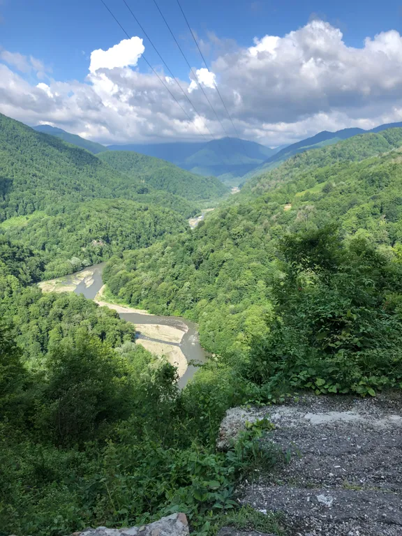 Апартаменты с видом на море и лес