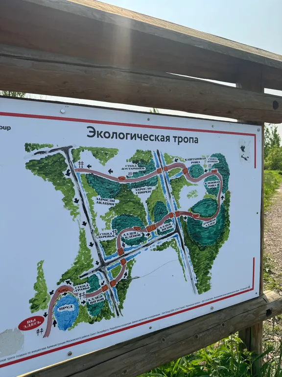 Квартира Квартира Новая студия экспофорум - аэропорт — Санкт-Петербург