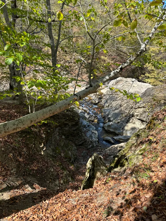 Дом с баней