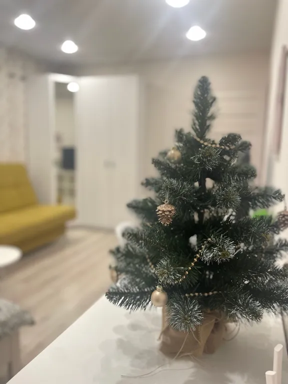 Квартира в центре с видом на реку