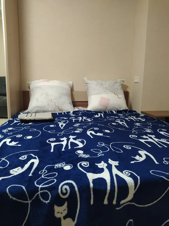 Уютная студия в географическом центре рядом с Парком Победы