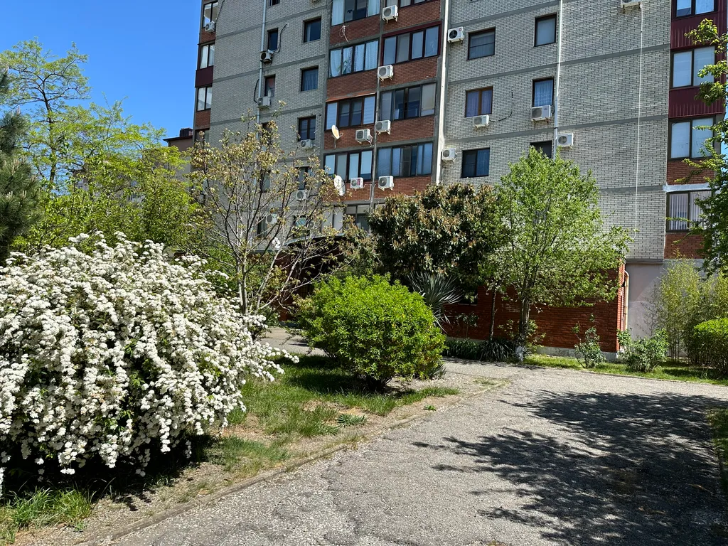 Уютная видовая квартира