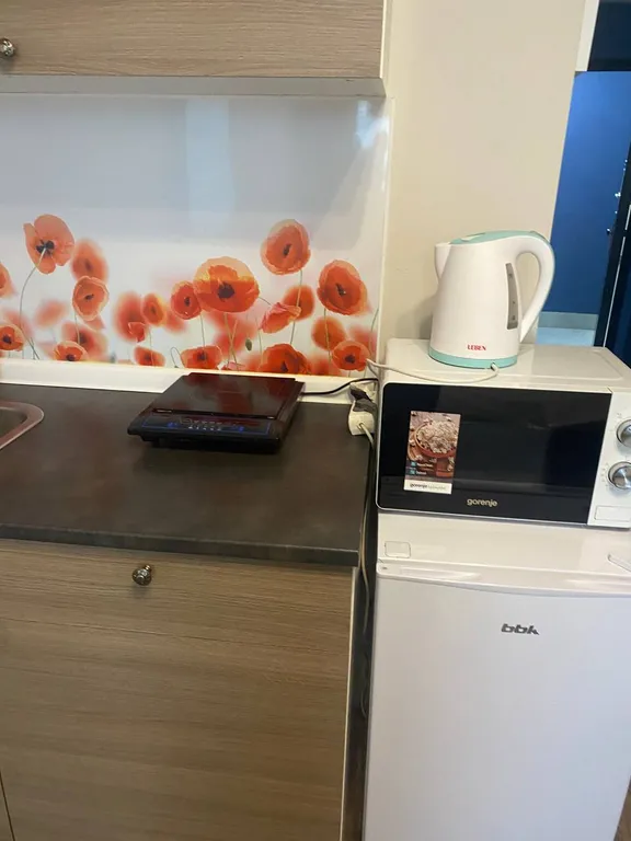 Квартира Апартаменты-студия в самом центре города — Екатеринбург