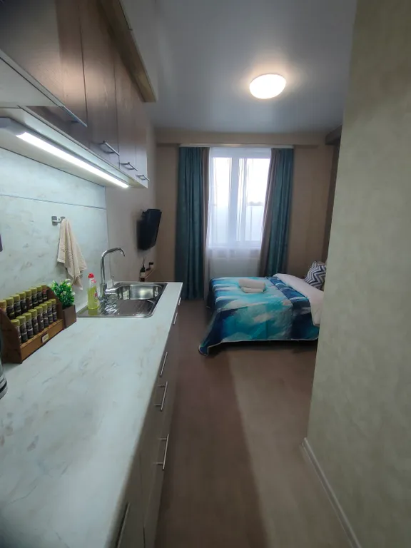 Студия с премиум-пакетом ТВ в 10 минутах от пл. Маркса