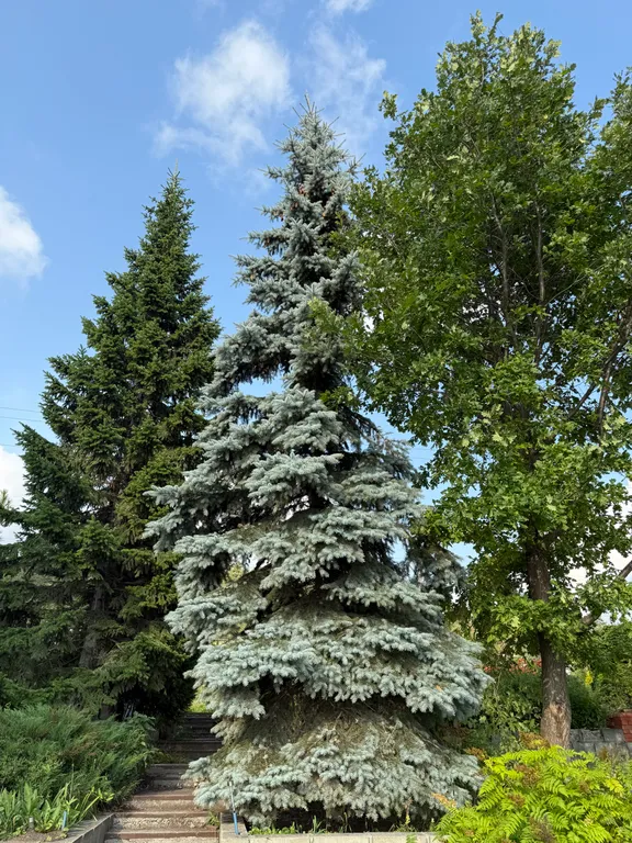 Уютный дом с видом на озеро