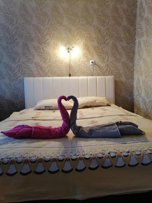 1-комнатная Квартира — аренда посуточно в Новокузнецк