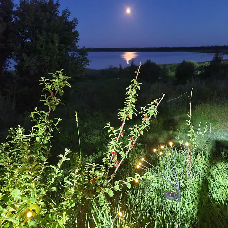 Каркасный домик с видом на озеро Горькое, Щучанский район
