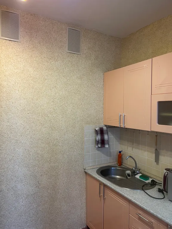 Уютная однокомнатная квартира с кондиционером