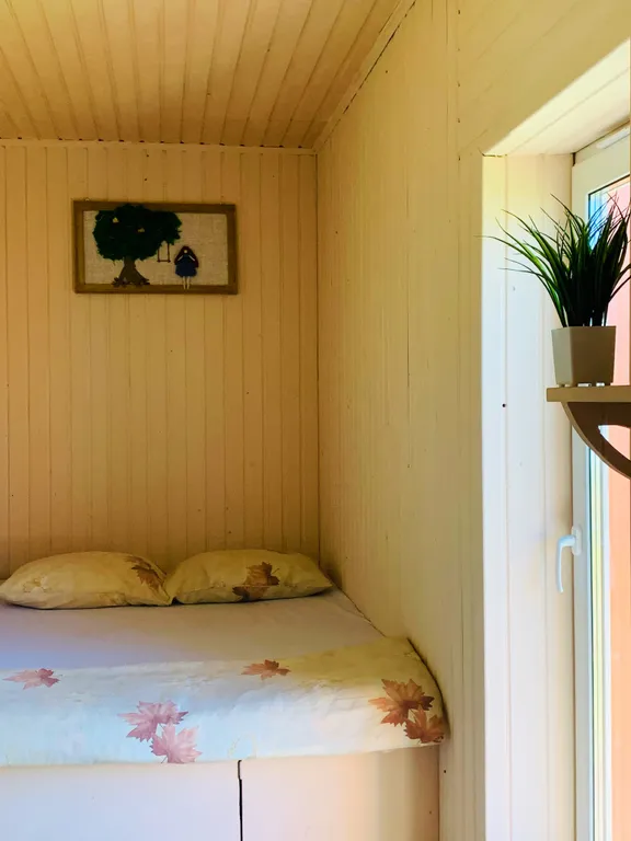 Дом на территории заповедника рядом  с озером Селигер можно с питомцем