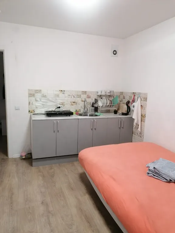 Квартира 1-комнатная Квартира — Колпино