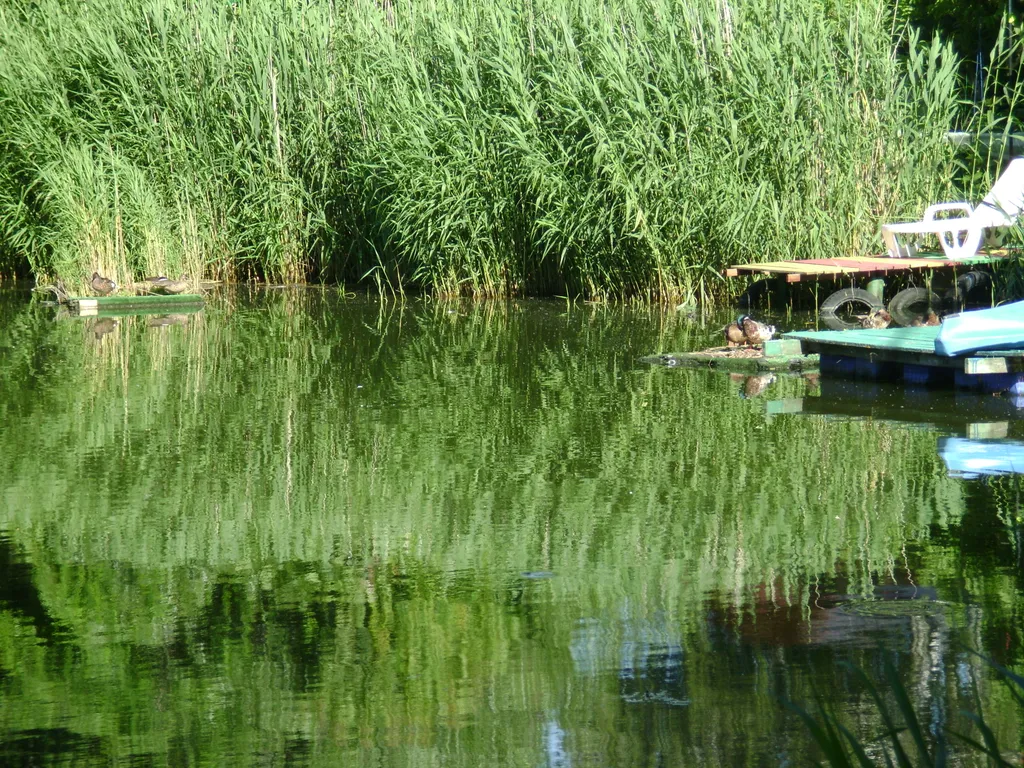 Квартира на берегу крепостного канала