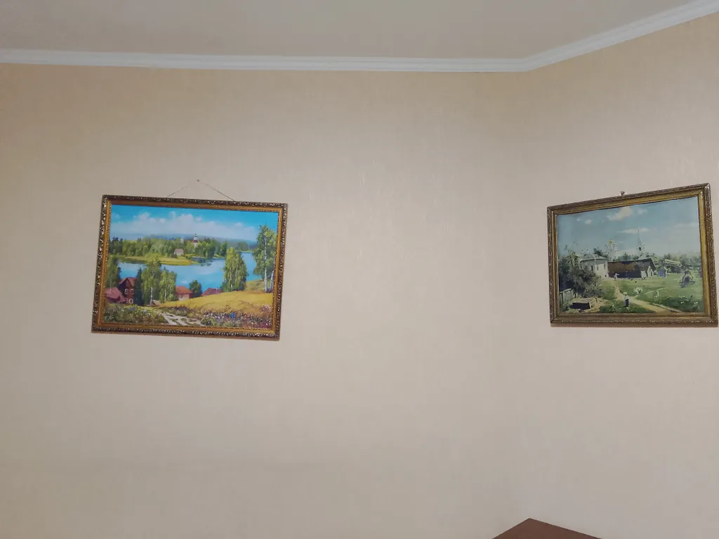 1-комнатная уютная квартира