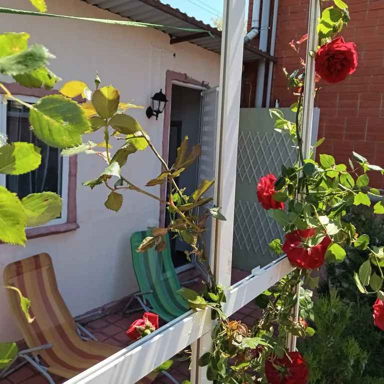 2-комнатный Дом